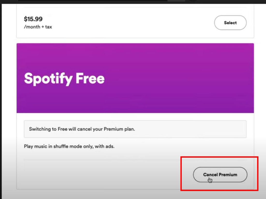 Your spotify. Spotify подписка. Spotify премиум. Spotify Premium.