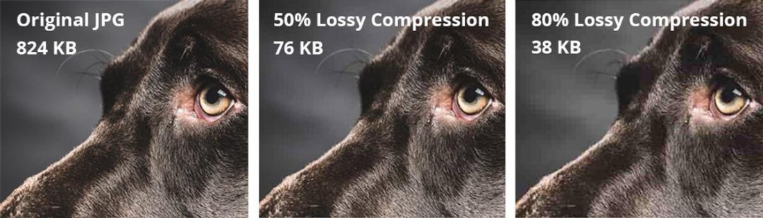 Сжатый джипег. Сжатие jpeg пример. Lossy Compression. Jpg компрессия. Lossy image Compression.